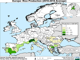 images\E4\cropprod\EU_Rice_preview.png